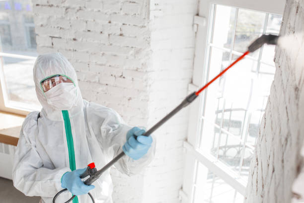 Biohazard Mold Removal in Fort Morgan, CO