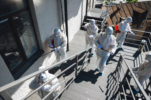 Best Commercial Mold Inspection  in Fort Morgan, CO