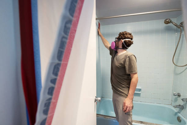 Best Mold Remediation for Vacation Homes  in Fort Morgan, CO